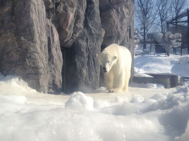 �l�C�̃V���N�}_���R������