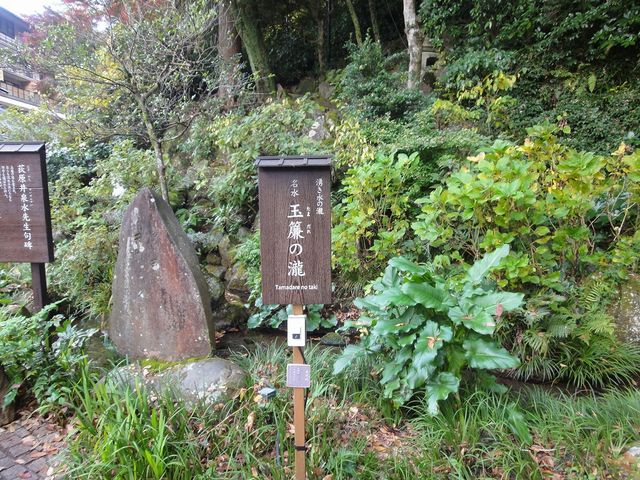 �Ŕ����Ă܂�_�ʗ��̑�