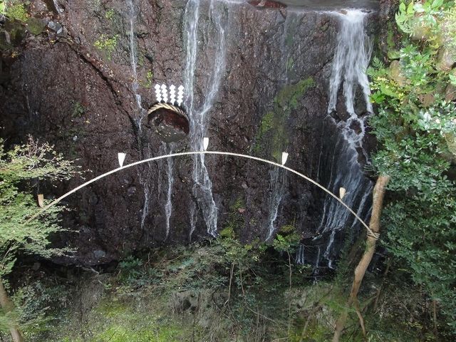 ����Ȃɍ����Ƃ�����͗����Ă��܂���_�ʗ��̑�