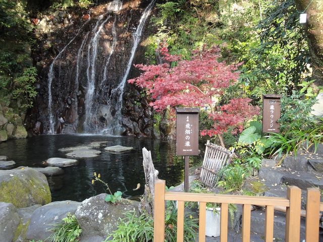 �����������ł�_���|�̑�