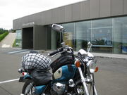 ecDCTgardenIKEDA̓eʐ^1