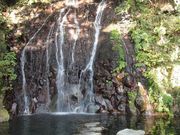 ̂̂񂳂̔|̑̓eʐ^2