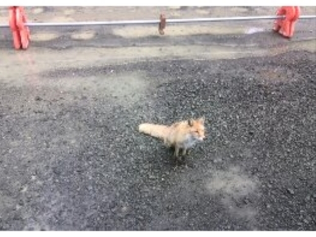 �L�c�l_���r