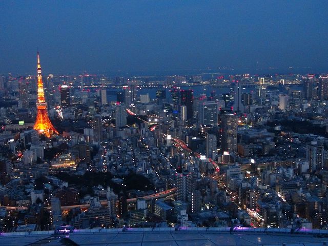 p̖iBɂ͓^[BEɂ̓Q[gubWB_Z{؃qY