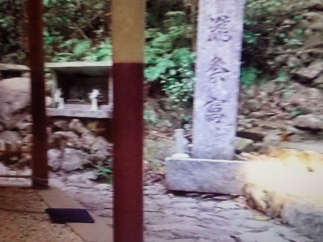 �ʐ^���t�ɂȂ��Ă܂�_�V�̊��