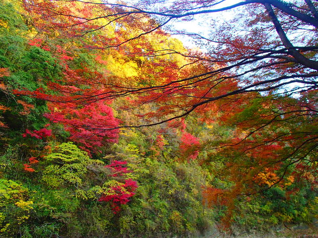 �����V����_�{�V�k�J