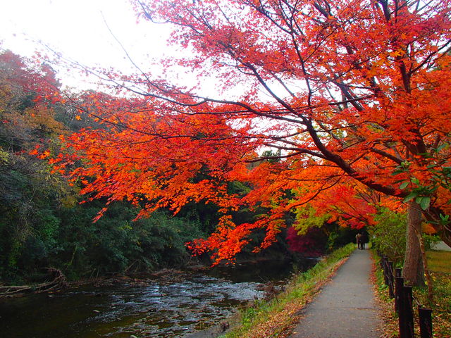 �����V����_�{�V�k�J