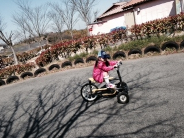 �䥗΂̃~���[�W�A�� �n�[�x�X�g�̋u