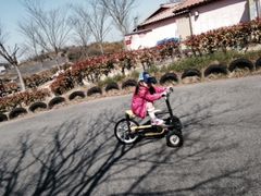 C܂̍䥗΂̃~[WA n[xXg̋uւ̓eʐ^2