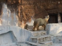 �V�����������̎ʐ^1