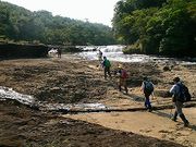 clio����̃J���r���[�̑�̓��e�ʐ^2