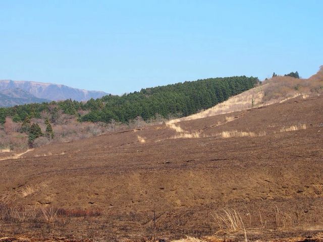 ��Ό�����