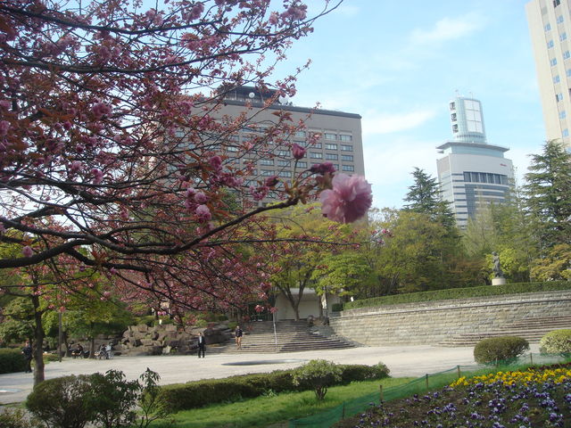 �l�G�܁X�̉�_���������