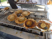 oo񂳂̏όYقӂ邳Ɩ{܂̓eʐ^3