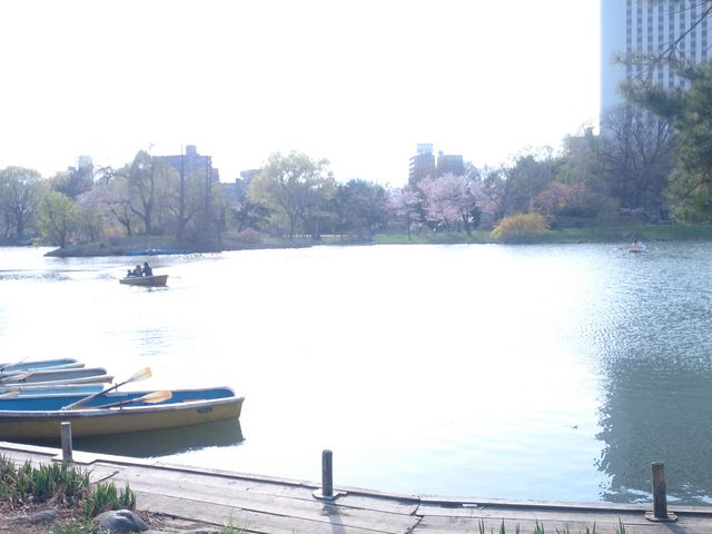 �{�[�g�̏����͋����Ă��炦�Ȃ����ǂ����Ɋ���܂����B_��������