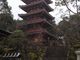 ちあきさんの竹林寺（高知県高知市）の投稿写真1