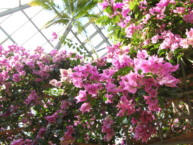 2ɎBeMѐÃu[QrAB~łYłB_Ƃ~[WAi΂ƉԂƒ̔فj