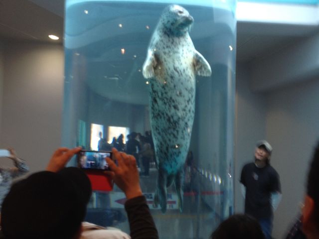 �É��s�����{��������