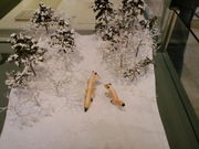 korikori̐VgLOق̓eʐ^2