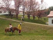 ܂肱FamilyLandYou̓eʐ^2