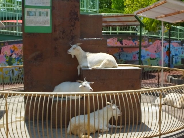 �b�{�s�V�T��������������