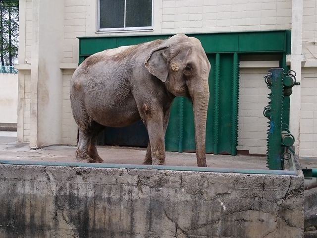 ��������_���тЂ듮����