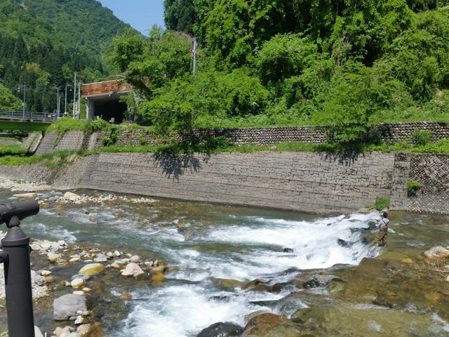 �R�Ɛ�̑厩�R�Ɉ͂܂�ā���ނ�l�����܂����I_��䉷�� ����