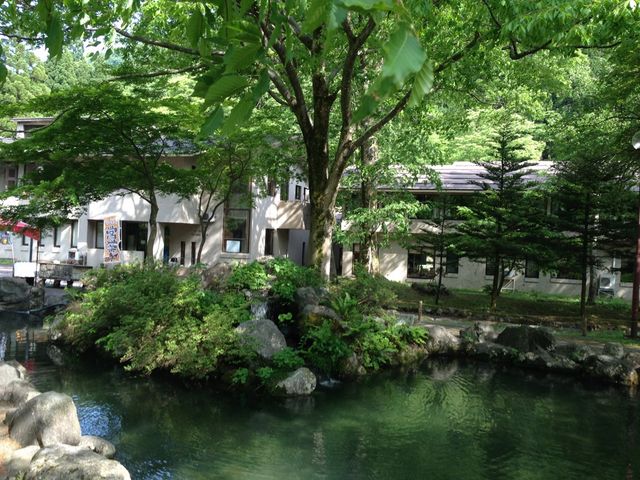 �ނ�x���c�Ƃ��Ă܂����I��y�ɉ���ɒނ���_��䉷�� ����