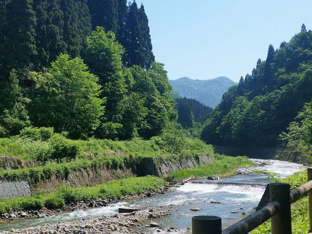 �߂����U�􂵂���f�G�Ȍi�F��_��䉷�� ����