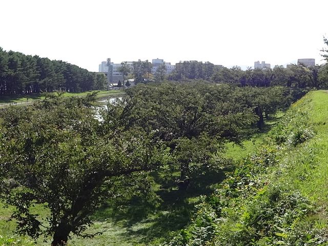 �ܗŊs����