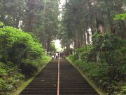 ف[ނ̑YRŏ掛ij̓eʐ^1