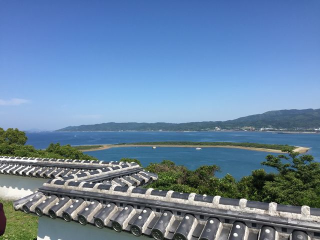 �x���邩��̒���_�x����i�x���r�W�^�[�Z���^�[�j