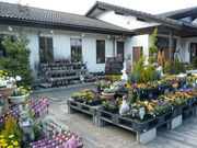 Ձ[낤BRITOMART̓eʐ^1