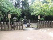 zin����̓��s���̓��e�ʐ^3