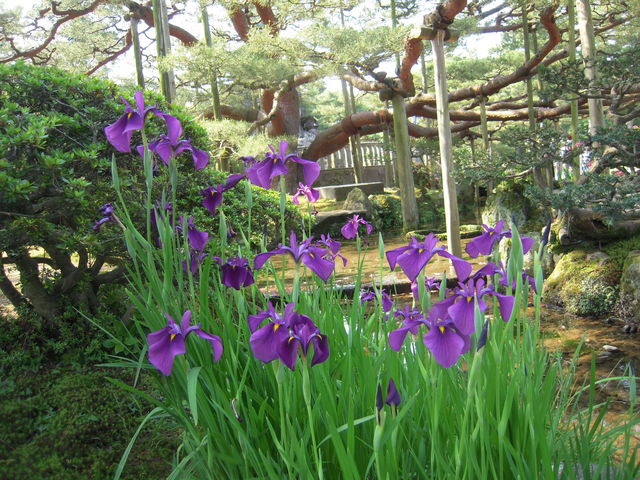 �Ԃ��c���Ă܂���_���Z���̃J�L�c�o�^