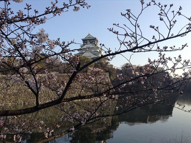 ���m�ے뉀����ق�z���ɑ�����ʂ���i�|�C���g�̈����B_���鐼�̊ے뉀