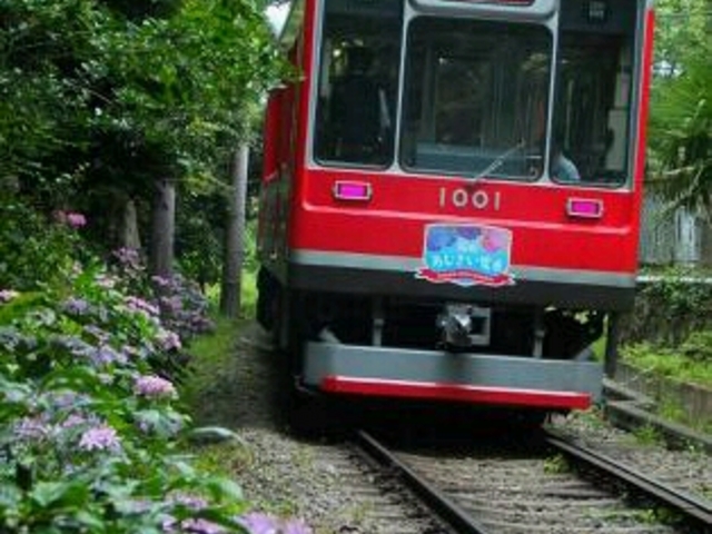 �����o�R�d�ԉ����̃A�W�T�C