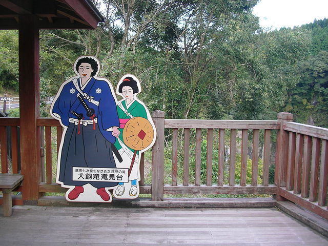 ����o�b�N��_������V����