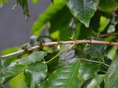 ڂ񂳂̃qAR[q[t@[ւ̓eʐ^1