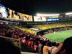 �Ȃ񂿂�񂳂�̕����h�[���@THE�@BIG�@LIFE�ւ̓��e�ʐ^1