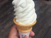 ɂ񂳂̃Xg ōn_̓eʐ^1