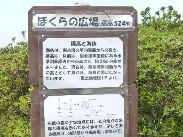 �ڂ���̍L��ł��B
�o�b�N����㕽��ł��B_�Ȃ邩�퉀�n