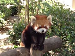 智さんの福岡市動植物園の投稿写真1