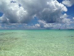 Ti}}̃ne̕lւ̓eʐ^1