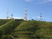 ��������̑啽�R�^���̓��e�ʐ^2