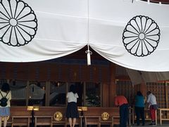 �k�C���_�{�̎ʐ^2