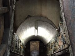 ��R�L�����v��̎ʐ^2