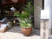 私の部屋 自由が丘店 アクセス 営業時間 料金情報 じゃらんnet