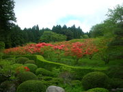 ݂񂳂̕CR̃}ccW̓eʐ^1