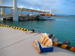 syu33̔dRόtF[ւ̓eʐ^1